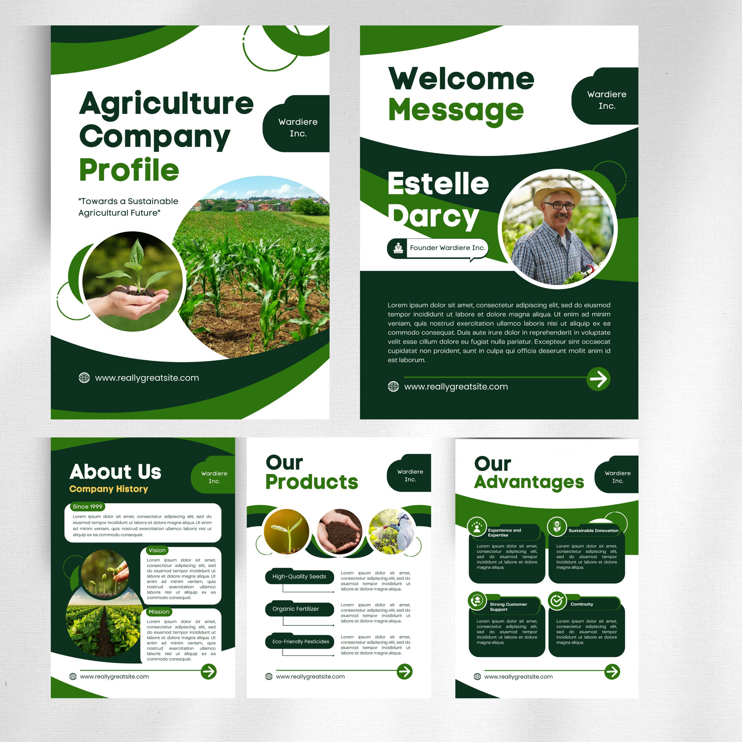 Mẫu Hồ Sơ Năng Lực 17