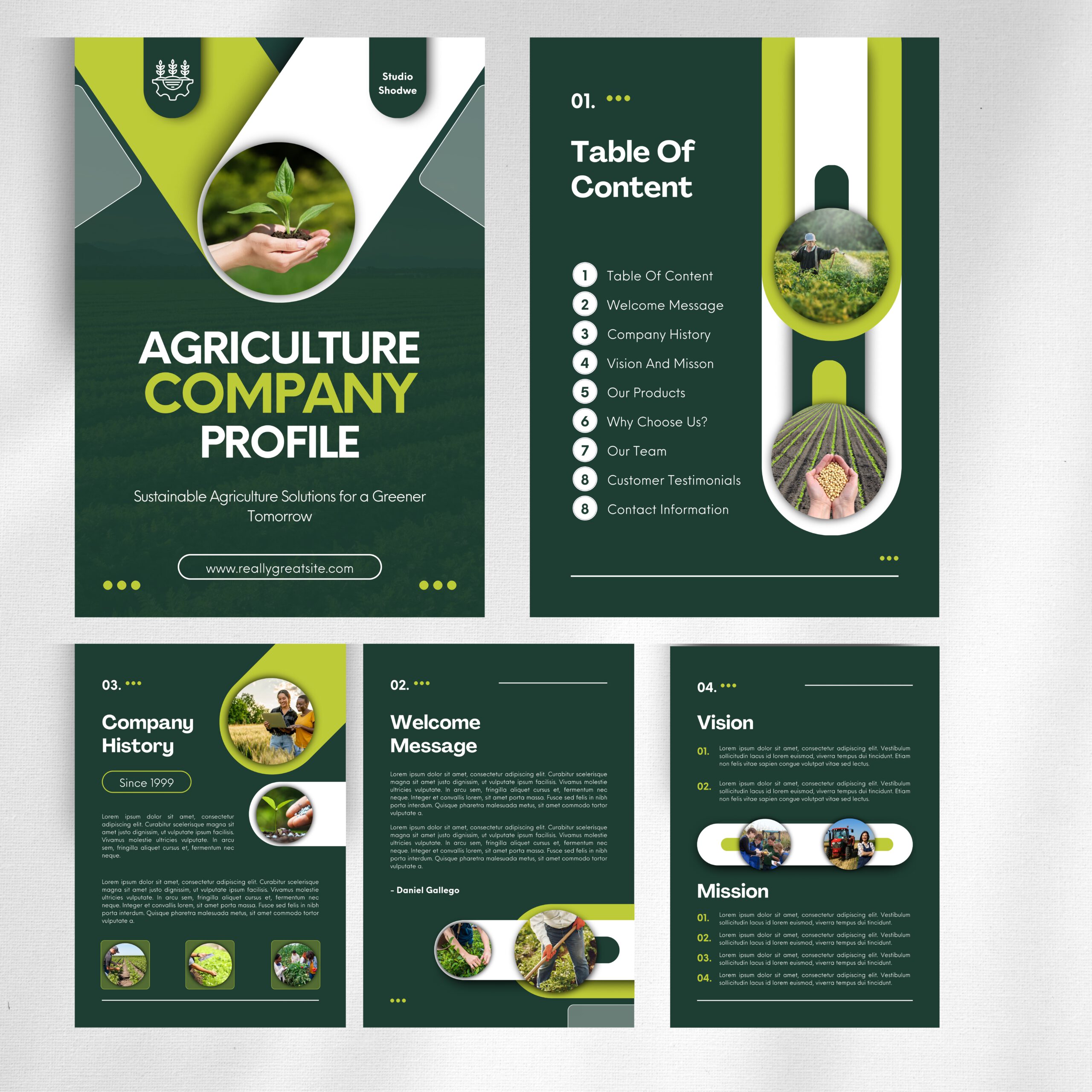 Mẫu Hồ Sơ Năng Lực 18