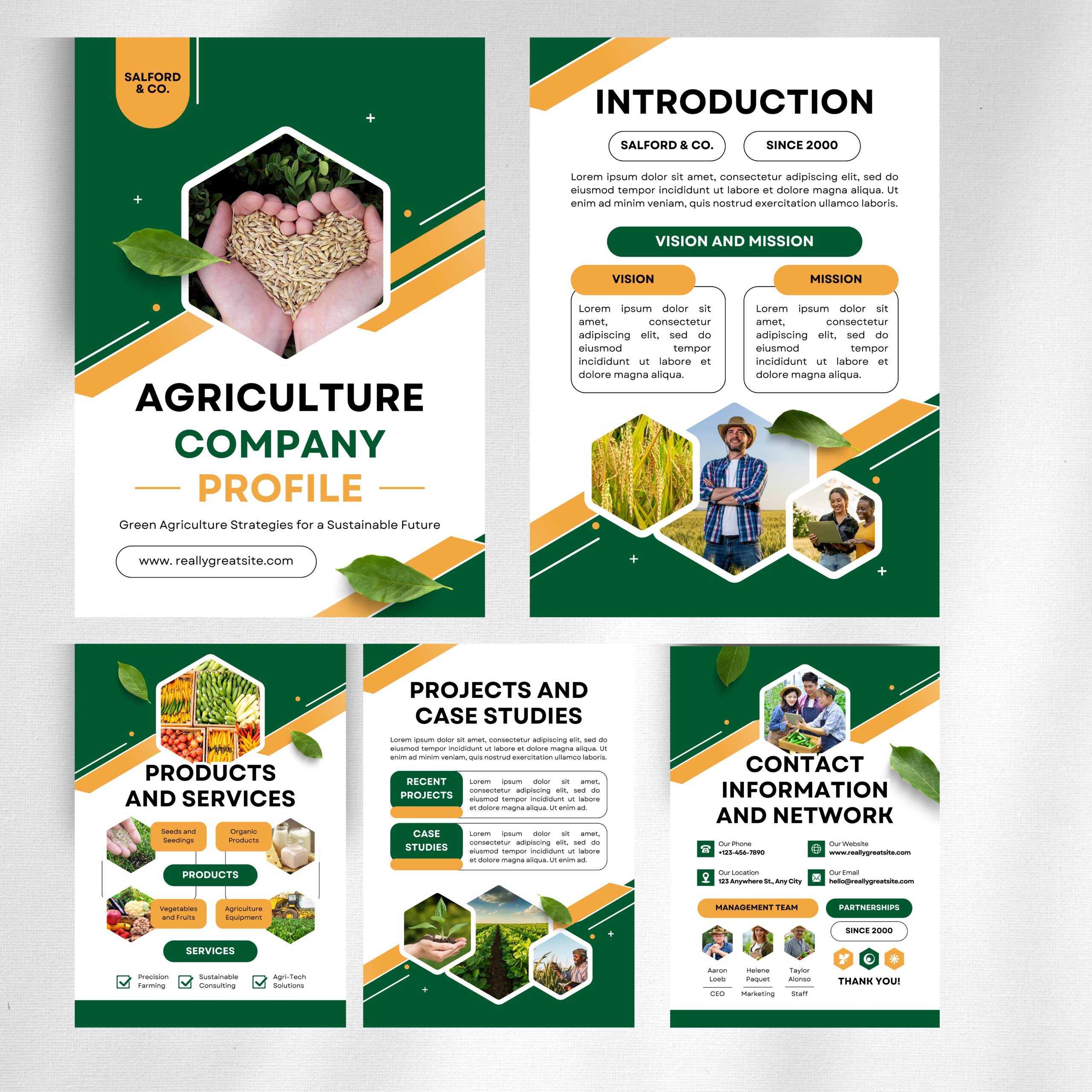 Mẫu Hồ Sơ Năng Lực 20